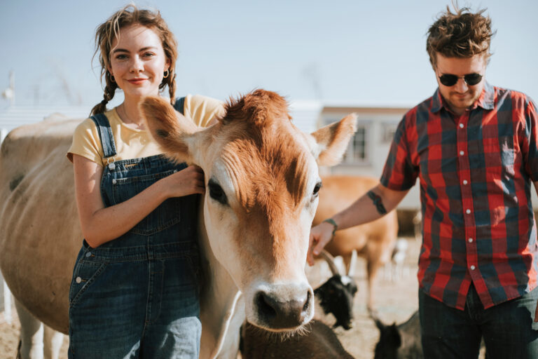 portrait of a couple with a cow